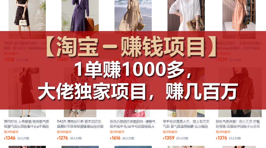 （11685期）【淘宝赚钱项目】1单可赚1000多，大佬独家项目，年赚几百万-夜影资源