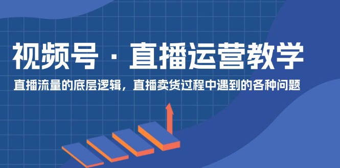 （11687期）视频号 直播运营教学：直播流量的底层逻辑，直播卖货过程中遇到的各种问题-夜影资源