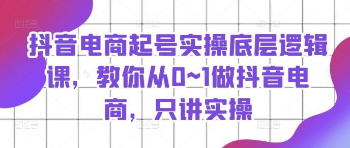 抖音电商起号实操底层逻辑课，教你从0~1做抖音电商，只讲实操-夜影资源