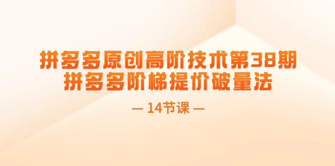 （11704期）拼多多原创高阶技术第38期，拼多多阶梯提价破量法（14节课）-夜影资源