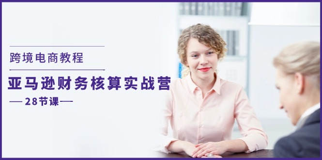 （11706期）跨境电商教程：亚马逊-财务核算实战营（28节课）-夜影资源