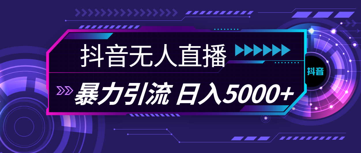 （11709期）抖音无人直播，暴利引流，日入5000+-夜影资源