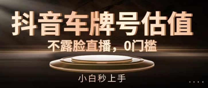 抖音车牌号估值，不露脸直播，0门槛，小白秒上手【揭秘】-夜影资源