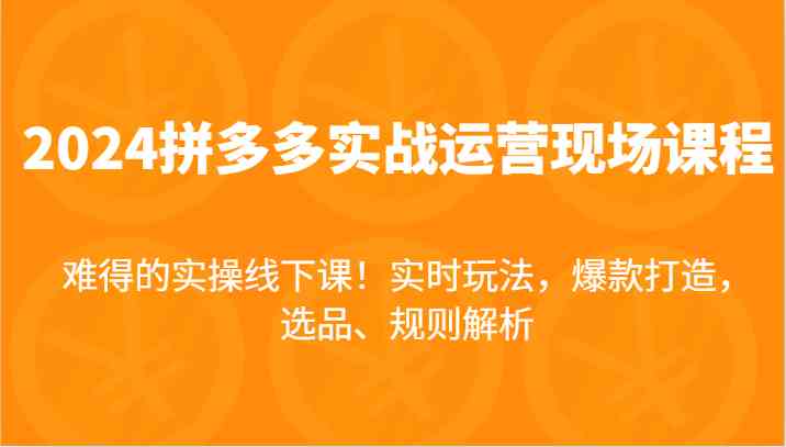 2024拼多多实战运营现场课，实时玩法，爆款打造，选品、规则解析，难得的实操线下课！-夜影资源