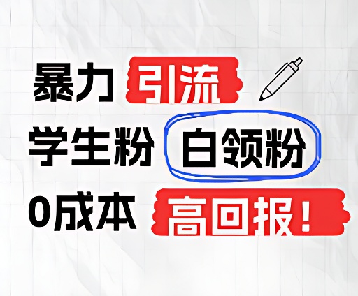 暴力引流学生粉白领粉，吊打以往垃圾玩法，0成本，高回报-夜影资源