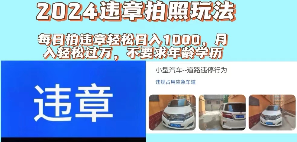 （11743期）2024违章拍照新玩法，推广躺赚+拍照赚钱双模式，日入1000+-夜影资源