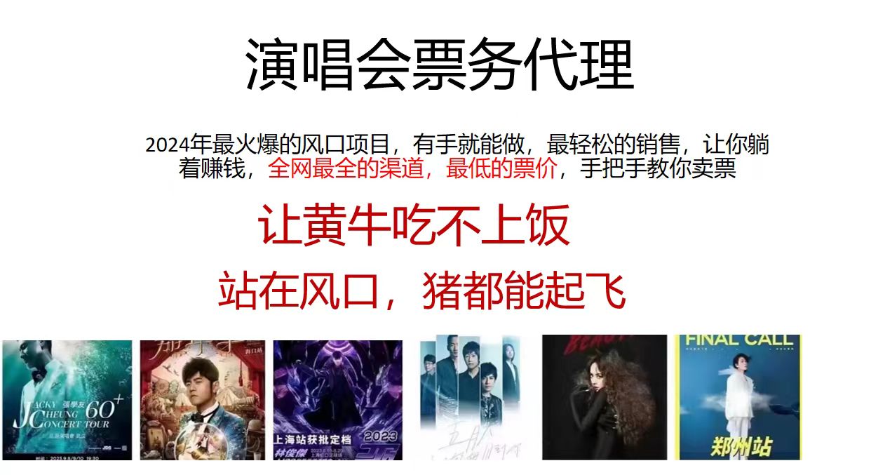 （11753期）演唱会票务代理，2024年最火爆风口项目，全网最低的票价，小白一分钟上…-夜影资源