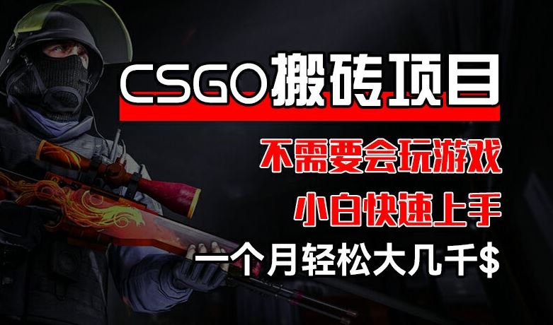 CSGO 装备搬砖项目，操作简单，不需要会玩游戏，小白也能快速上手，一个月轻松大几千【揭秘】-夜影资源