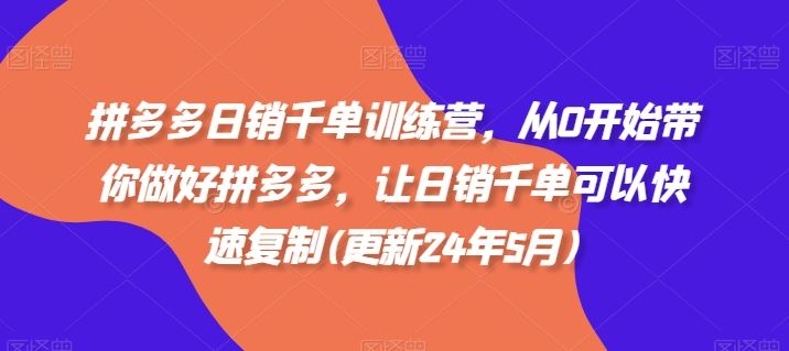 拼多多日销千单训练营，从0开始带你做好拼多多，让日销千单可以快速复制(更新24年7月)-夜影资源