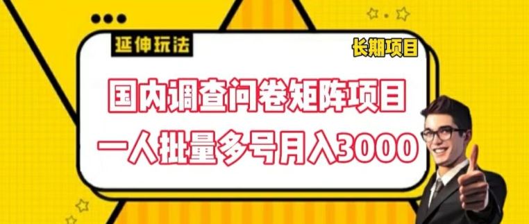 国内调查问卷矩阵项目，一人批量多号月入3000【揭秘】-夜影资源