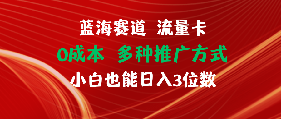 （11768期）蓝海赛道 流量卡 0成本 小白也能日入三位数-夜影资源