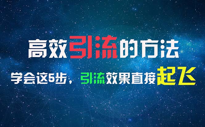 （11776期）高效引流的方法，可以帮助你日引300+创业粉，一年轻松收入30万，比打工强-夜影资源