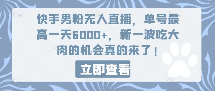 快手男粉无人直播，单号最高一天6000+，新一波吃大肉的机会真的来了-夜影资源