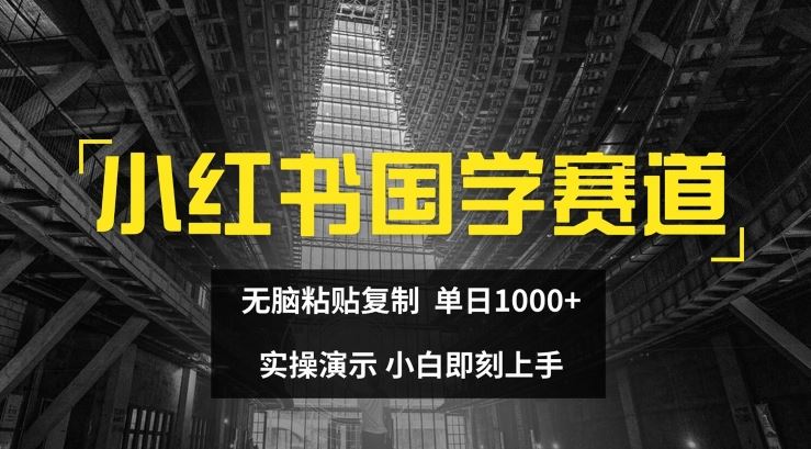 小红书国学赛道，无脑粘贴复制，单日1K，实操演示，小白即刻上手【揭秘】-夜影资源