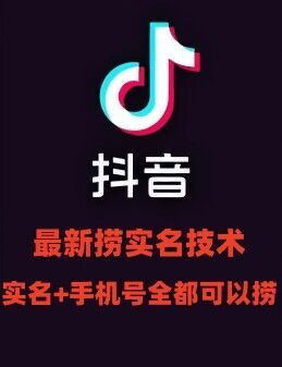 最新技术抖音捞实名+捞手机号技术，抖音直播封禁释放十名/手机号，直接替换出来!-夜影资源