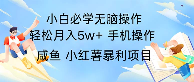 （11953期）2024热门暴利手机操作项目，简单无脑操作，每单利润最少500-夜影资源