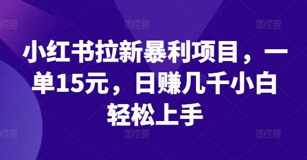 小红书拉新暴利项目，一单15元，日赚几千小白轻松上手-夜影资源