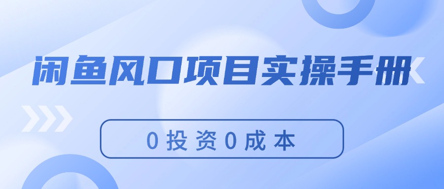 （11923期）闲鱼风口项目实操手册，0投资0成本，让你做到，月入过万，新手可做-夜影资源