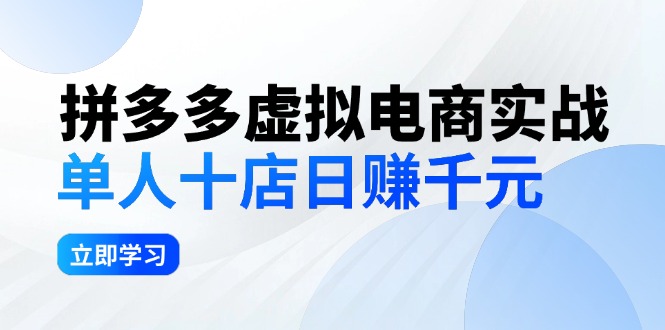 （12326期）拼多多虚拟电商实战：单人10店日赚千元，深耕老项目，稳定盈利不求风口-夜影资源