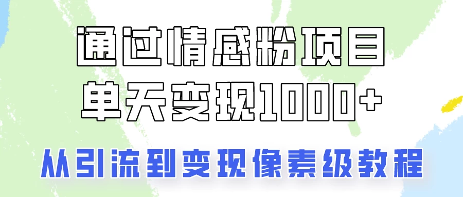 关于情感粉变现项目，我是怎么做到单天赚1000+的？从引流到变现像素级教程-夜影资源