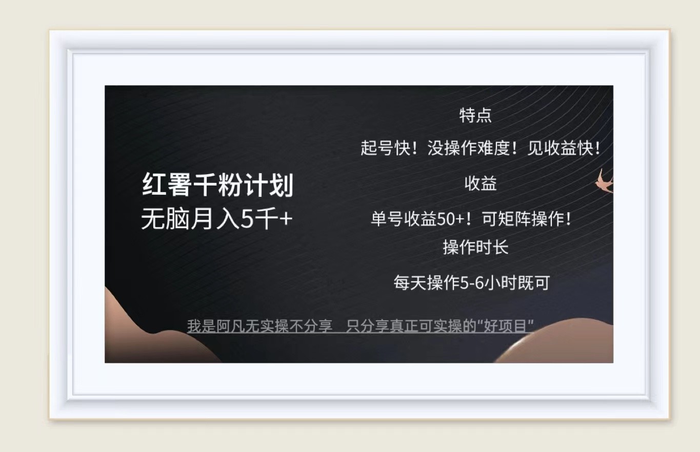 红薯千粉计划无脑月入5千+！既做既赚！-夜影资源