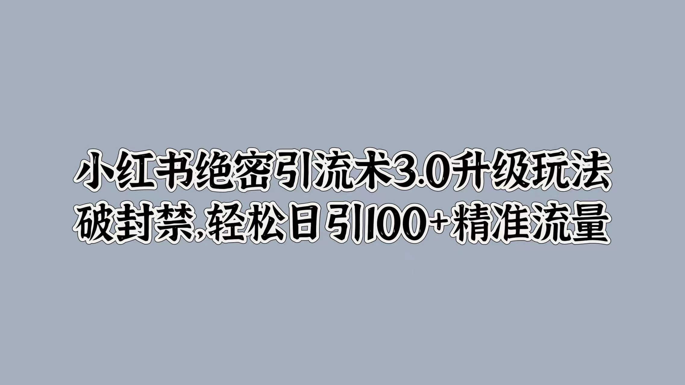 小红书绝密引流术3.0升级玩法，破封禁，轻松日引100+精准流量-夜影资源