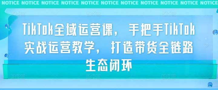 TikTok全域运营课，手把手TikTok实战运营教学，打造带货全链路生态闭环-夜影资源