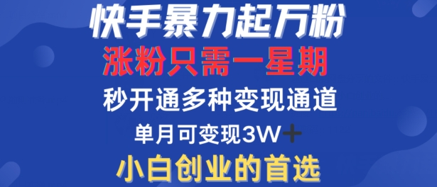 快手暴力起万粉，涨粉只需一星期，多种变现模式，直接秒开万合，单月变现过W【揭秘】-夜影资源