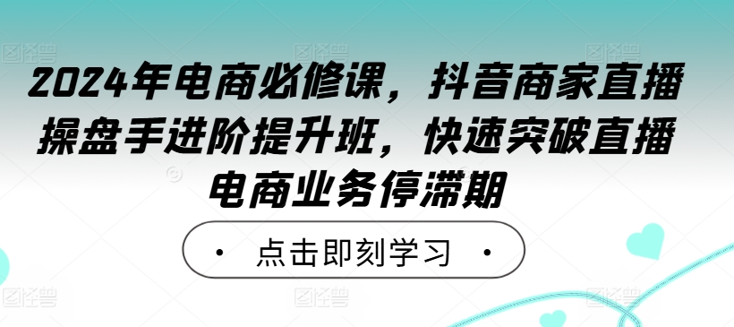 2024年电商必修课，抖音商家直播操盘手进阶提升班，快速突破直播电商业务停滞期-夜影资源