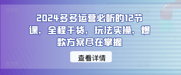 2024多多运营必听的12节课，全程干货，玩法实操，爆款方案尽在掌握-夜影资源