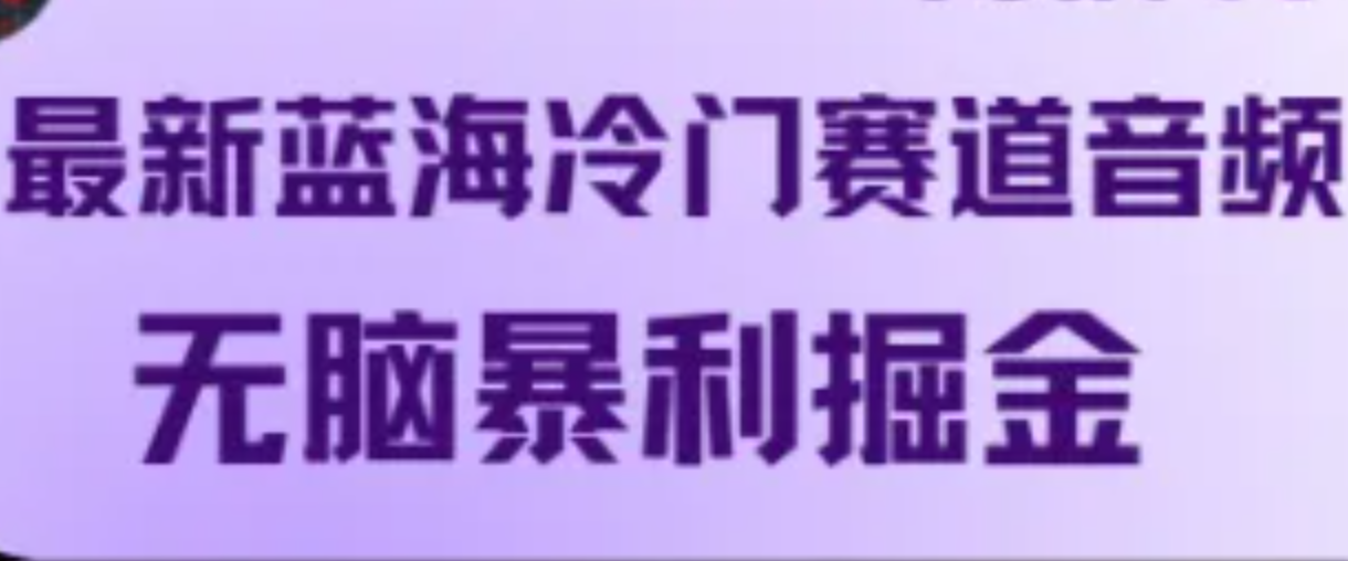 最新蓝海冷门赛道音频，无脑暴利掘金-夜影资源