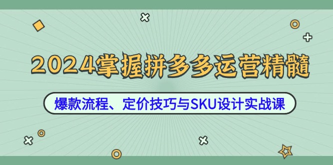 2024掌握拼多多运营精髓：爆款流程、定价技巧与SKU设计实战课-夜影资源