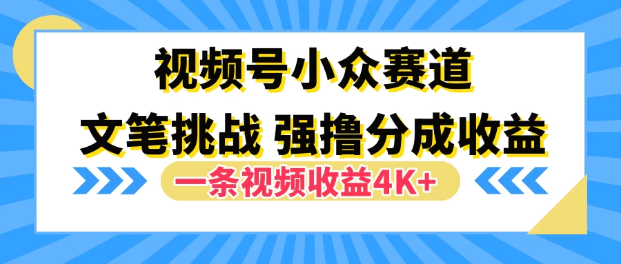 视频号小众赛道，文笔挑战，一条视频收益4K+-夜影资源