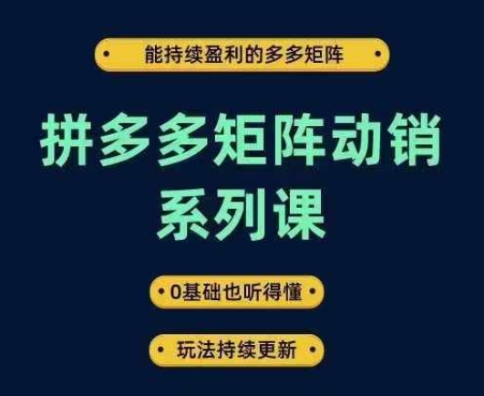 拼多多矩阵动销系列课，能持续盈利的多多矩阵，0基础也听得懂，玩法持续更新-夜影资源