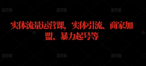 实体流量运营课，实体引流、商家加盟、暴力起号等-夜影资源