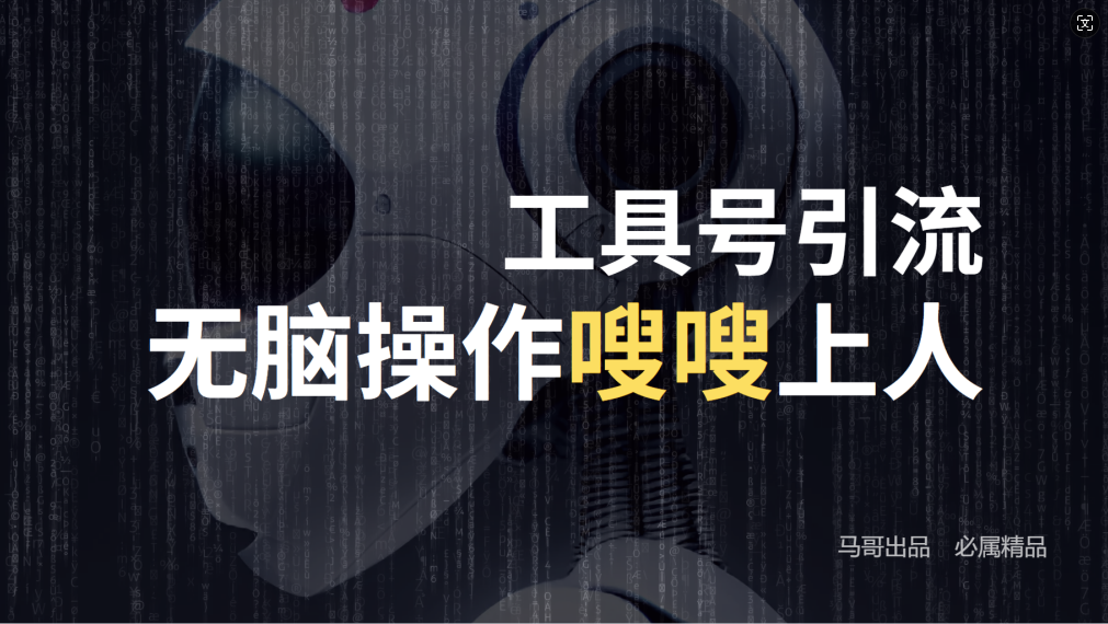 24年抖音最新工具号日引流300+创业粉，日入5000+-夜影资源