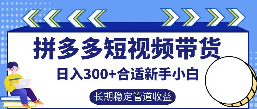 拼多多短视频带货日入300+有长期稳定被动收益，合适新手小白【揭秘】-夜影资源