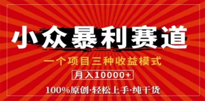 视频号最新爆火赛道，三种可收益模式，0粉新号条条原创条条热门 日入1000+-夜影资源