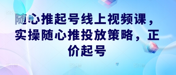 随心推起号线上视频课，实操随心推投放策略，正价起号-夜影资源
