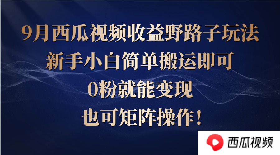 西瓜视频收益野路子玩法，新手小白简单搬运即可，0粉就能变现，也可矩…-夜影资源
