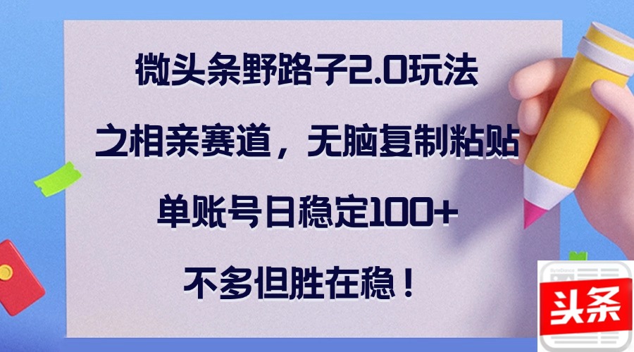 微头条野路子2.0玩法之相亲赛道，无脑复制粘贴，单账号日稳定100+，不…-夜影资源