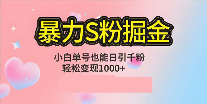 单人单机日引千粉，变现1000+，S粉流量掘金计划攻略-夜影资源