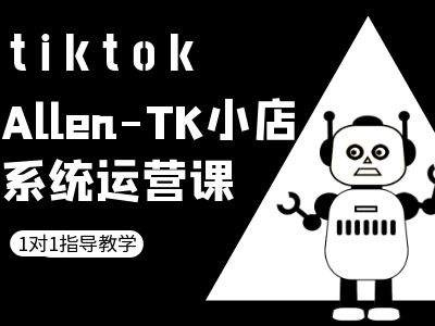 TK小店系统运营课-tiktok跨境电商教程-夜影资源