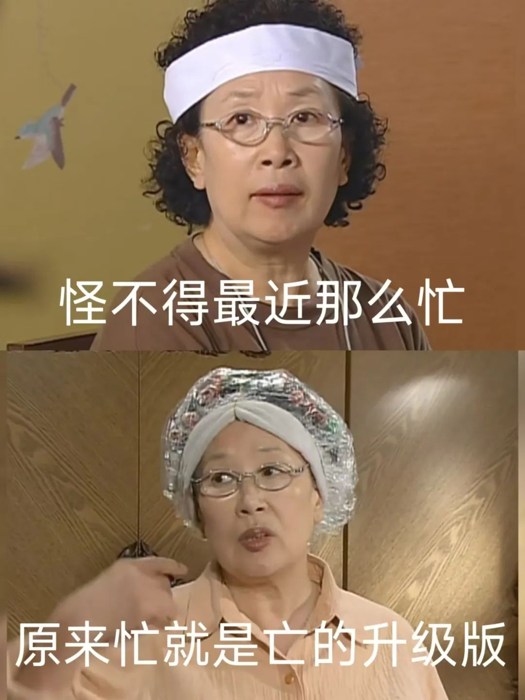 图片[13]-罗文姬女士又火了～小红书上那些爆火的罗文姬文案是怎么做的？-夜影资源